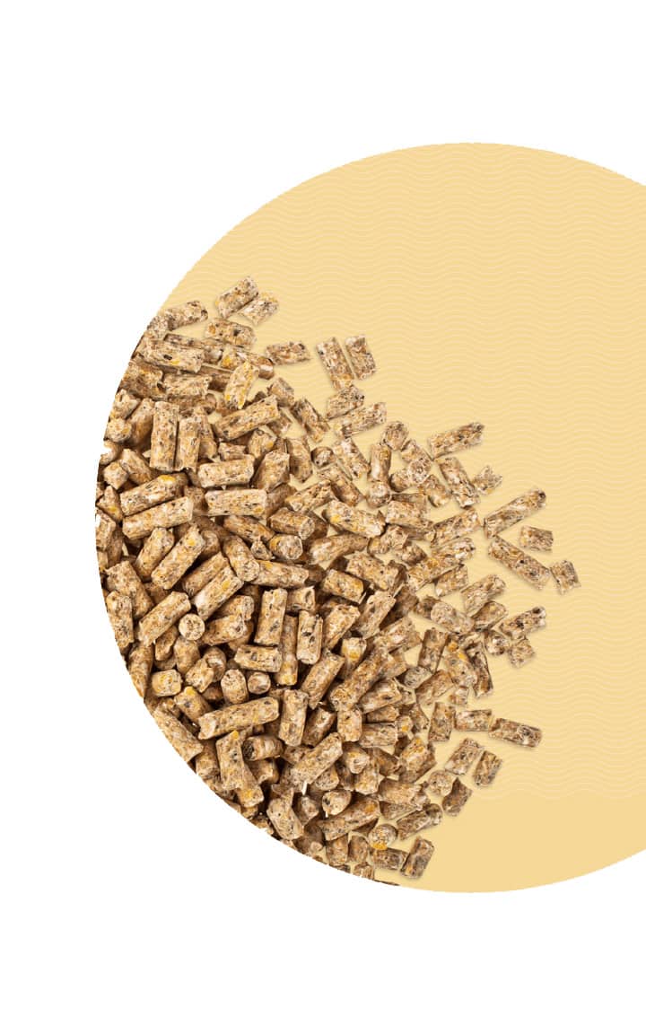 pellets pellets
